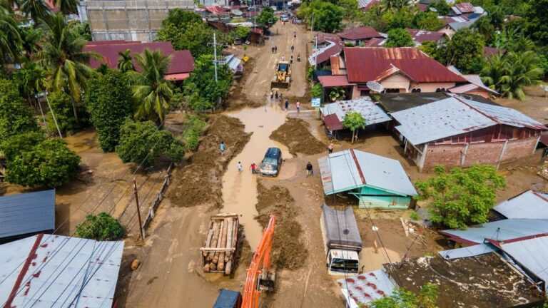 082582600_1764322636-8